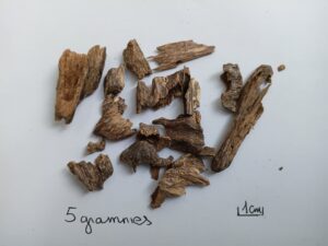 Lot de bois de oud en vrac : plusieurs morceaux irréguliers, bois pâle marbré de zones sombres riches en résine, repère d'échelle manuscrit de 1 cm posé à côté
